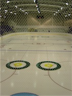 Netting